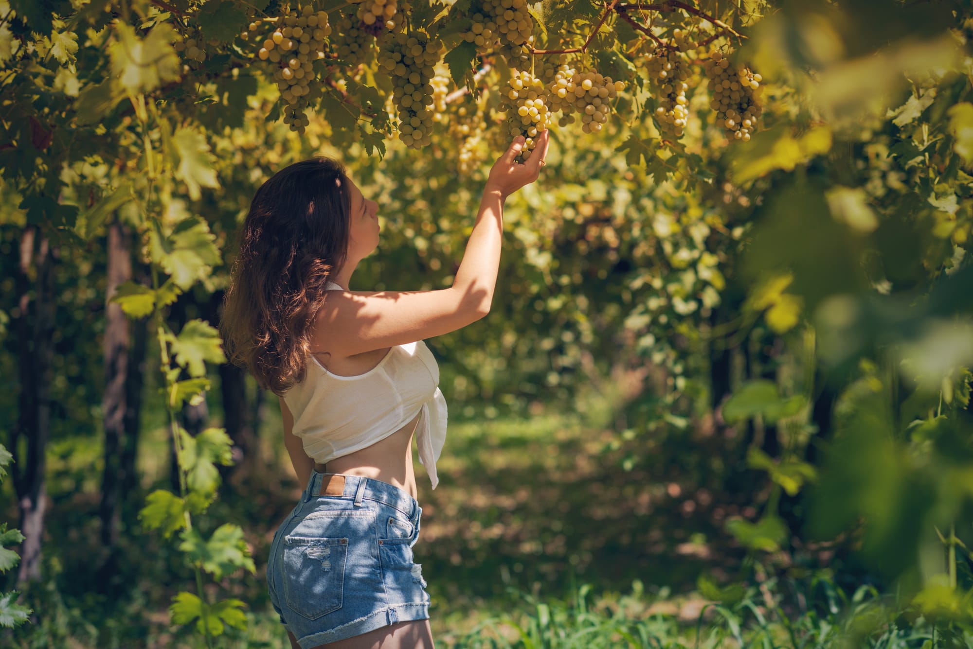 Olivia in the Vineyard