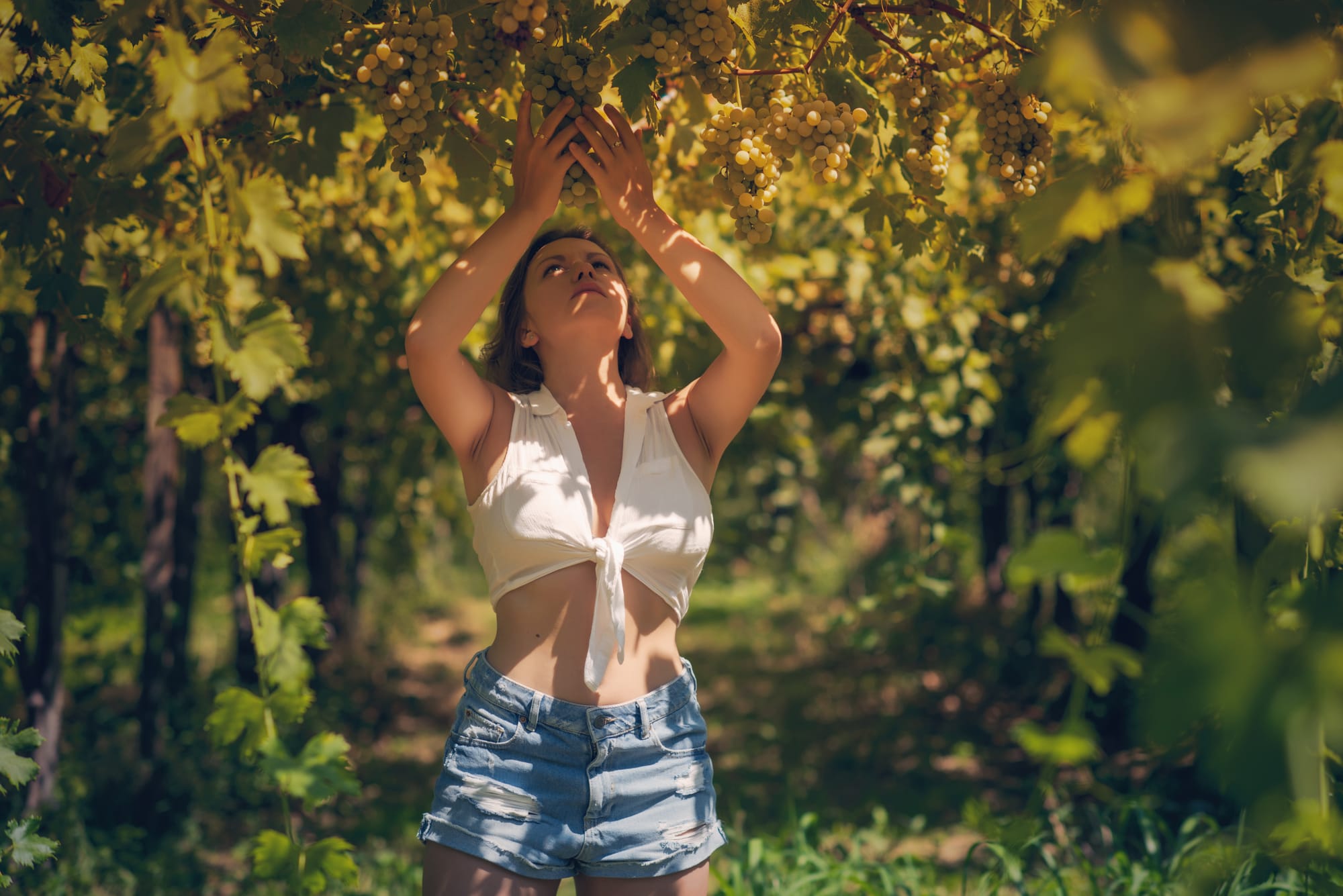 Olivia in the Vineyard