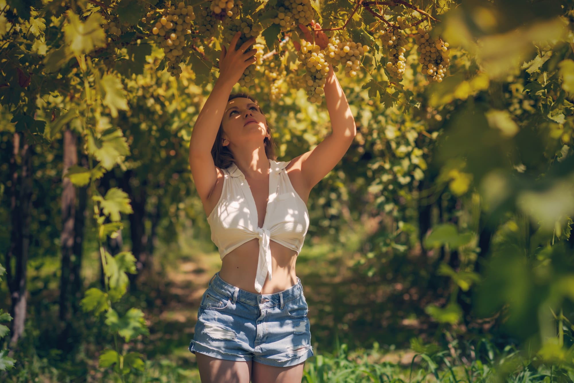 Olivia in the Vineyard